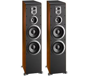 Floor Standing Speakers